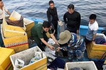 Dùng công nghệ nào để thăm dò tàu cổ đắm ở Quảng Ngãi?