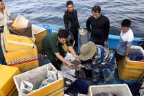 Dùng công nghệ nào để thăm dò tàu cổ đắm ở Quảng Ngãi?