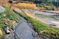 Công ty Cổ phần phát triển Công nghệ nông thôn bị phạt 400 triệu đồng