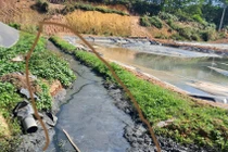 Công ty Cổ phần phát triển Công nghệ nông thôn bị phạt 400 triệu đồng