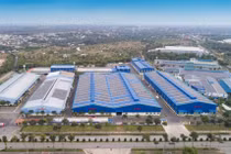 Cadivi bị phạt, truy thu thuế hơn 1,7 tỷ đồng