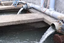 Công ty dịch vụ và môi trường Trọng Hiếu bị xử phạt hơn 1,3 tỷ đồng