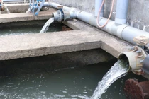 Công ty dịch vụ và môi trường Trọng Hiếu bị xử phạt hơn 1,3 tỷ đồng