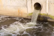 Bà Rịa – Vũng Tàu: Xử phạt 255 triệu đồng với Công ty TNHH Long Quân