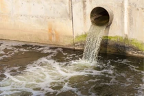 Bà Rịa – Vũng Tàu: Xử phạt 255 triệu đồng với Công ty TNHH Long Quân