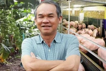 HAGL kỳ vọng ngành nông nghiệp giúp cổ phiếu thoát diện cảnh báo