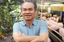 HAGL kỳ vọng ngành nông nghiệp giúp cổ phiếu thoát diện cảnh báo