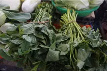 Rau xanh tăng giá chóng mặt sau trận mưa lịch sử ở Đà Nẵng