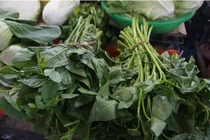 Rau xanh tăng giá chóng mặt sau trận mưa lịch sử ở Đà Nẵng