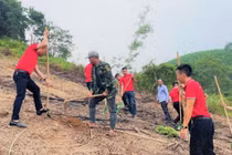 SeABank trao tặng gần 154.000 cây xanh ủng hộ trồng rừng và phát triển kinh tế tại Hà Tĩnh