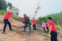 SeABank trao tặng gần 154.000 cây xanh ủng hộ trồng rừng và phát triển kinh tế tại Hà Tĩnh