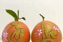 Đa dạng, nhiều chủng loại bưởi Tết