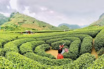 Đến Mộc Châu tháng 9 chơi gì?