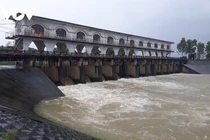 Đà Nẵng nguy cơ thiếu nước sinh hoạt vì xâm nhập mặn