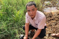 Quảng Nam: Bắt khẩn cấp đối tượng cướp giật tài sản người đi đường 