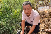 Quảng Nam: Bắt khẩn cấp đối tượng cướp giật tài sản người đi đường 