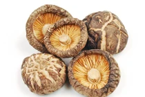 Sử dụng nấm hương đúng cách