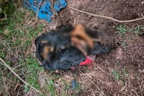 Công an tỉnh Bình Dương phát thông báo vụ đôi chân người bị đốt cháy