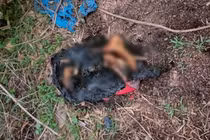 Công an tỉnh Bình Dương phát thông báo vụ đôi chân người bị đốt cháy