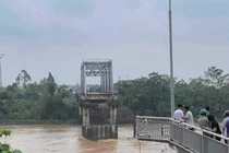 Cục Đường bộ đề xuất xây mới cầu Phong Châu bằng vốn ngân sách Nhà nước