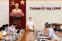 Giám đốc Ban Quản lý dự án TP Hạ Long bị tạm đình chỉ công việc