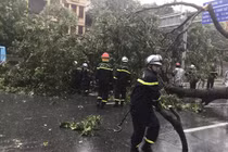 Cảnh sát Hà Nội nhận hơn 70 tin báo cứu nạn do bão Yagi 