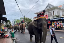 Đàn voi cùng người dân tiễn biệt vua voi Tây Nguyên