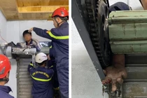 Bé trai 11 tuổi bị cửa cuốn đè tử vong thương tâm