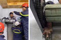 Bé trai 11 tuổi bị cửa cuốn đè tử vong thương tâm