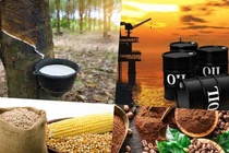 Thị trường ngày 25/4: Dầu thô tăng, giá đường lập đỉnh mới