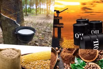 Thị trường ngày 25/4: Dầu thô tăng, giá đường lập đỉnh mới