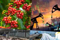 Thị trường hàng hóa hôm nay 5/1: Giá cả các mặt hàng biến động?