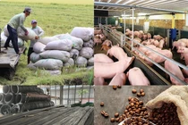 Giá cả thị trường hàng hóa ngày 15/5: Thép, cà phê, tiêu,... có biến động