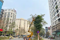 Hà Nội bảo đảm an toàn hệ thống cây xanh trong mùa mưa bão