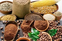 Giá cả thị trường hàng hóa ngày 17/4: Lúa gạo, cà phê, thép... có biến động