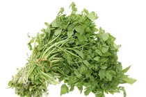 9 lợi ích sức khỏe ấn tượng của rau cải xoong