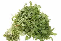 9 lợi ích sức khỏe ấn tượng của rau cải xoong