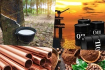 Thị trường ngày 19/5: Giá dầu kim loại và các nông sản đồng loạt giảm