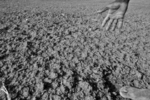 Những kỷ lục khủng khiếp nhất về hạn hán trong lịch sử thế giới