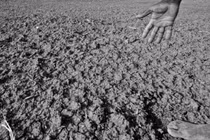 Những kỷ lục khủng khiếp nhất về hạn hán trong lịch sử thế giới