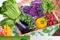 Top thực phẩm giúp trường thọ