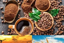 Thị trường ngày 5/5: Quặng sắt cao nhất 5 tháng, thép, gạo... giảm