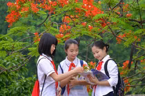 Mới nhất: Lịch nghỉ hè chính thức của học sinh 63 tỉnh, thành