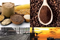 Thị trường hàng hóa mới nhất: Giá dầu, quặng sắt giảm, đồng bật tăng