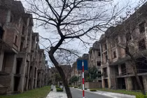 Cận cảnh khu đô thị có gần 400 căn biệt thự bỏ hoang