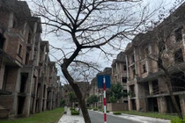 Cận cảnh khu đô thị có gần 400 căn biệt thự bỏ hoang