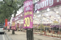 Hoa đào, lan, quất... 'siêu khuyến mãi' chờ người mua