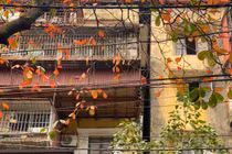 Cận cảnh chung cư nguy hiểm cấp độ D buộc phải di dời khẩn cấp