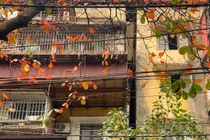 Cận cảnh chung cư nguy hiểm cấp độ D buộc phải di dời khẩn cấp