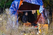 Rét buốt, tiểu thương trùm chăn thấp thỏm trông cây cảnh qua đêm